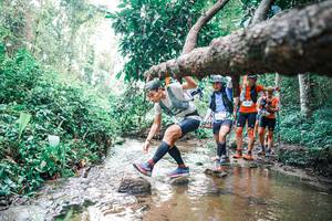 BIB: 
                            <button type="button" onclick="openModal(25372223)" class="btn btn-primary btn-sm float-right btn-popup" data-toggle="modal" data-target=".modal-high-quality">
                        <i class="fas fa-shopping-cart"></i> Add to Cart
                    </button>
                                            <button type="button" onclick="isThisMe(25372223, true)" class="btn btn-success btn-sm float-right btn-popup btn-isme hidden" data-toggle="tooltip" data-placement="bottom" title="นี่คือรูปของคุณใช่ไหม คลิกที่นี่เพื่อเอาเข้าอัลบั้ม">
                        <i class="fas fa-plus"></i> Add to album
                    </button>
                    <button type="button" onclick="isThisMe(25372223, false)" class="btn btn-warning btn-sm float-right btn-popup btn-isnotme hidden">
                        <i class="fas fa-ban"></i> Remove from album
                    </button>